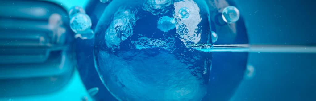 Fecundidade em alta: conheça o Hormônio Anti-Mülleriano e sua relação com a fertilidade