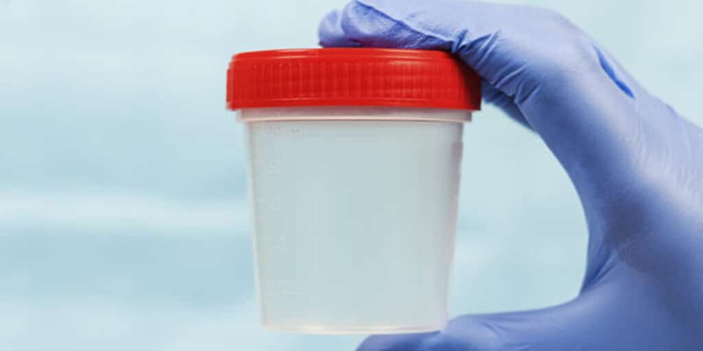 blog-doacao-de-gameta