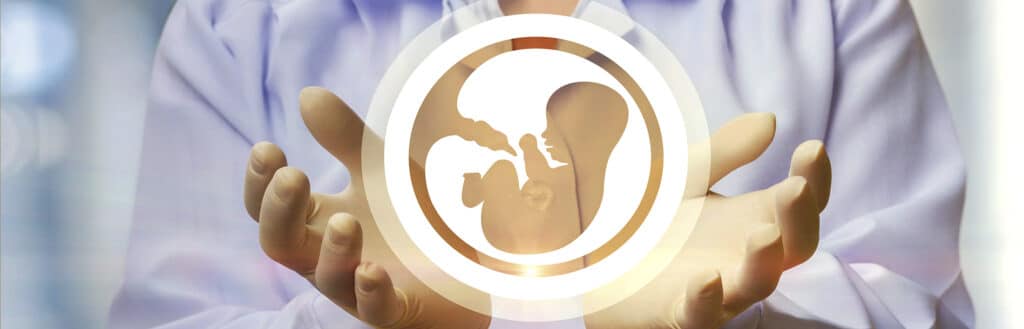 Inseminação-Intra-Uterina