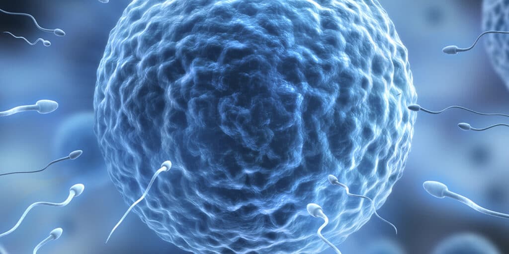 blog-doacao-de-ovulos