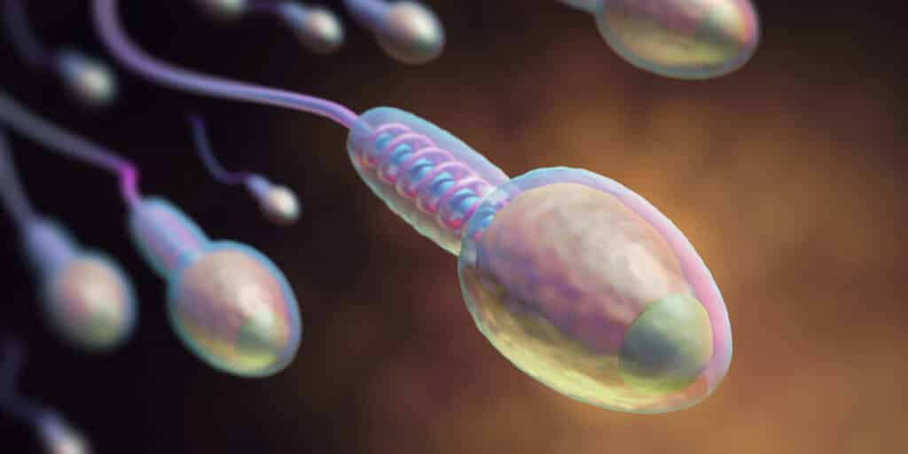 banner teratozoospermia