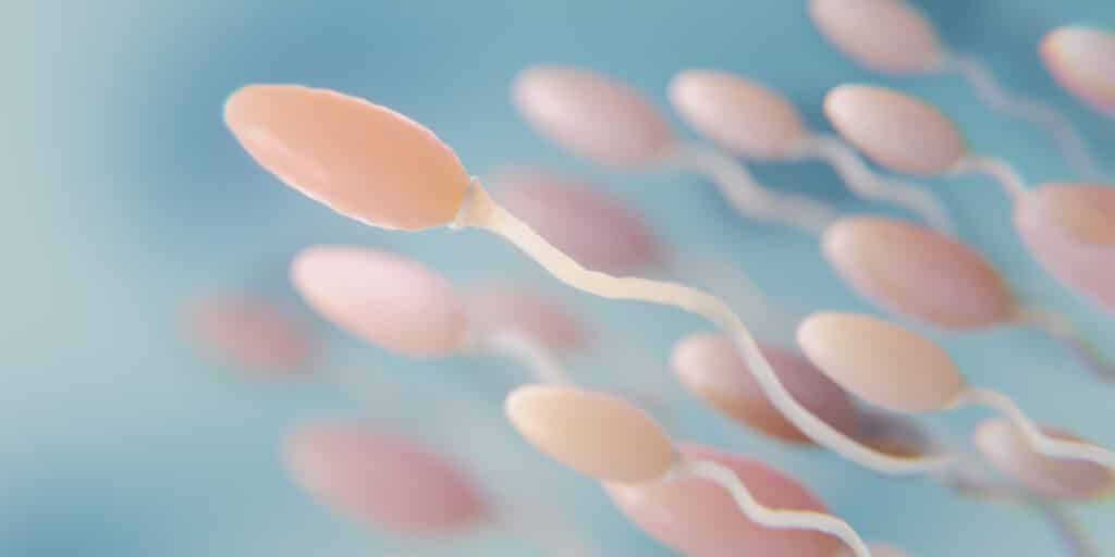 banner fragmentação do dna espermático