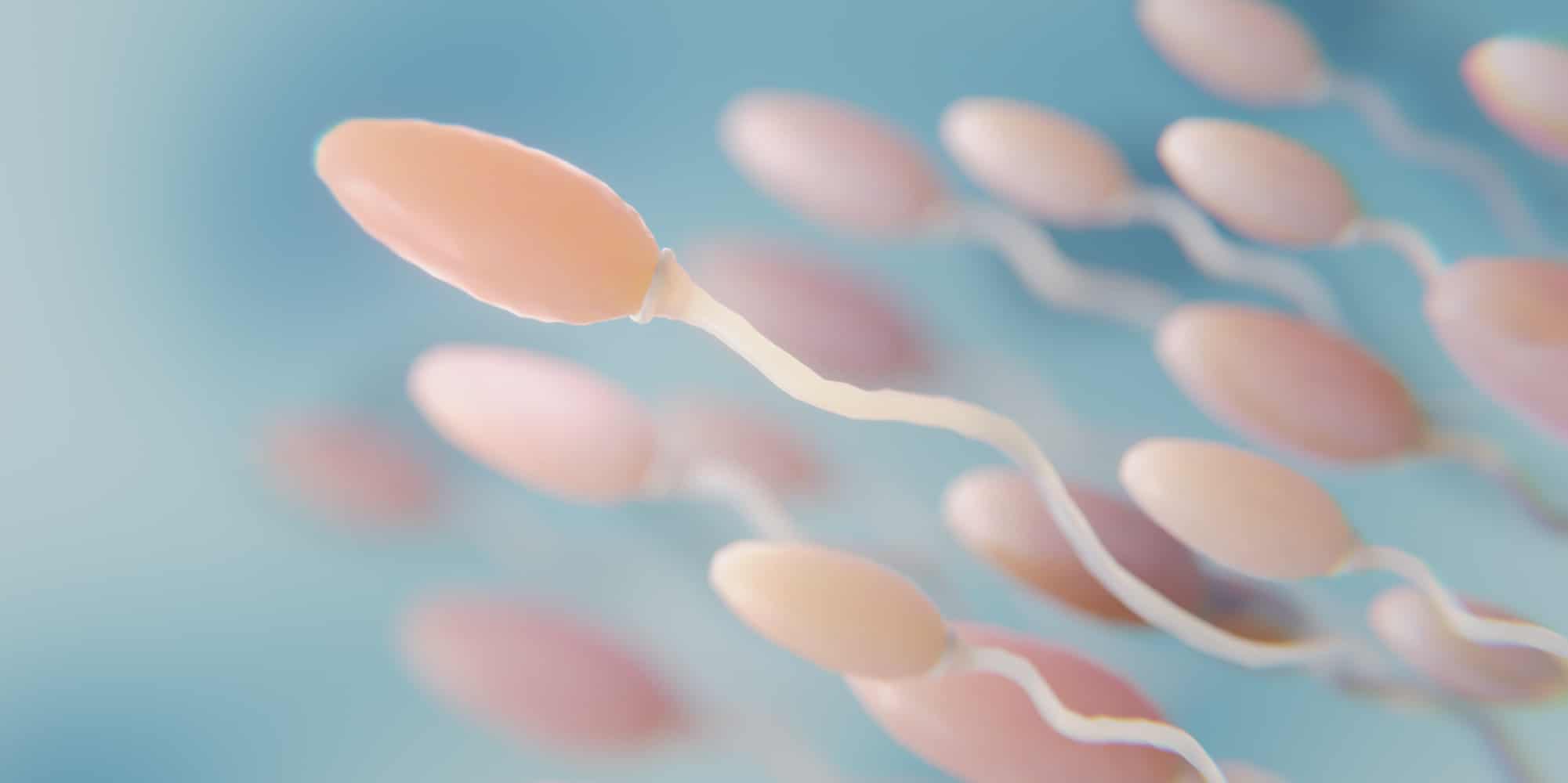 banner fragmentação do dna espermático