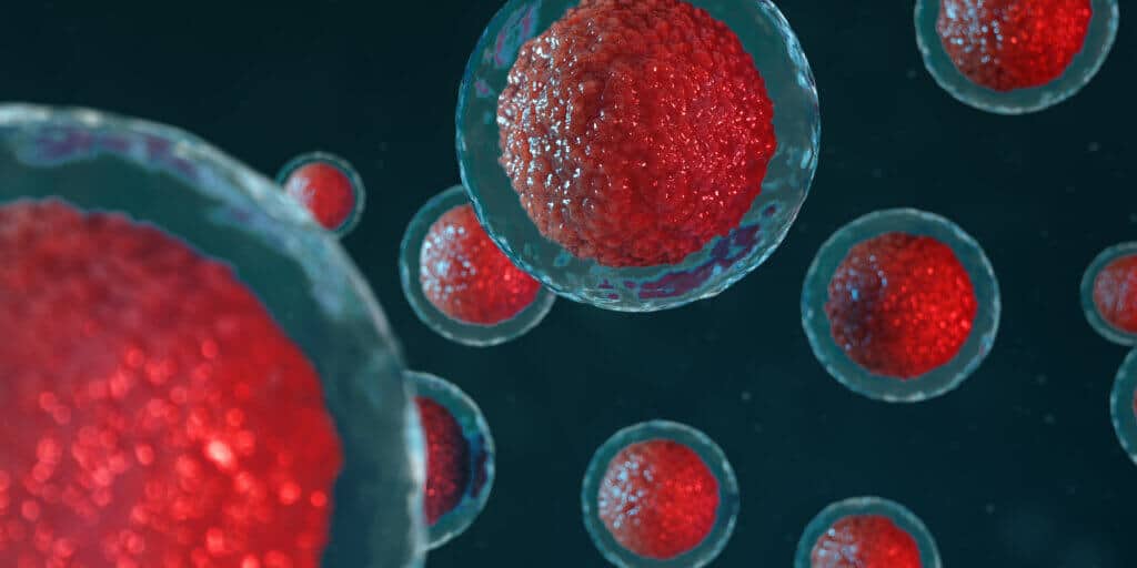 banner embrião com desenvolvimento lento