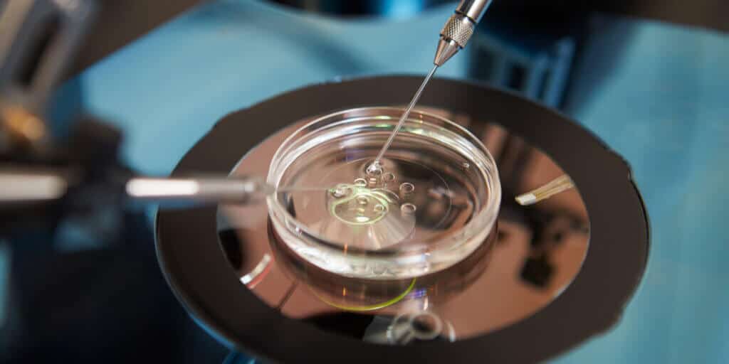 banner icsi taxa de sucesso