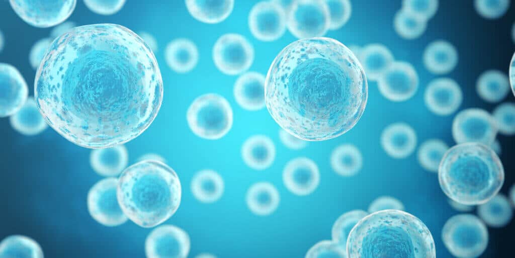 banner maturacao in vitro de ovulos