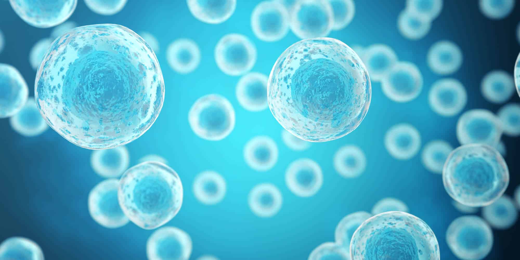 banner maturacao in vitro de ovulos