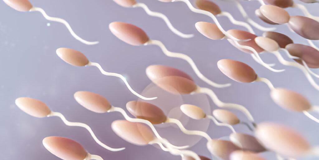 banner motilidade espermatica