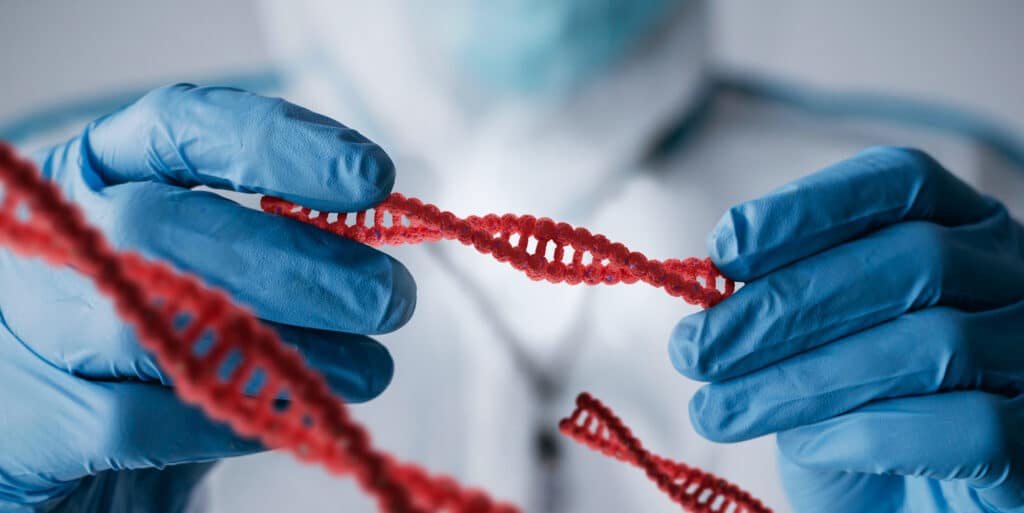 banner teste genetico