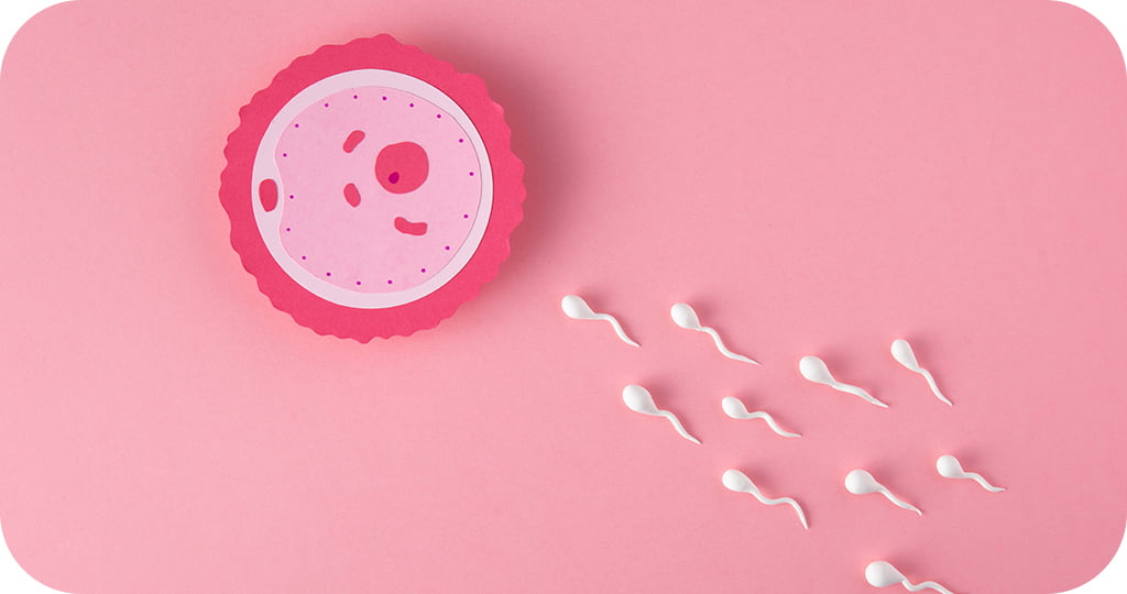 Representação artística de óvulos em um ambiente microscópico.