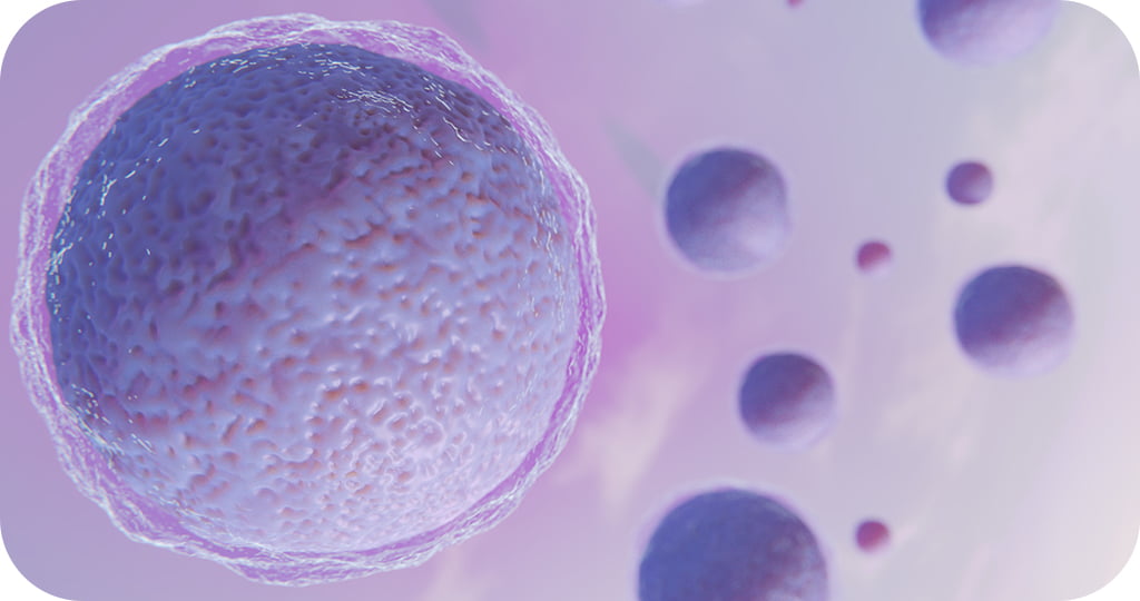 Representação artística de óvulos em um ambiente microscópico.
