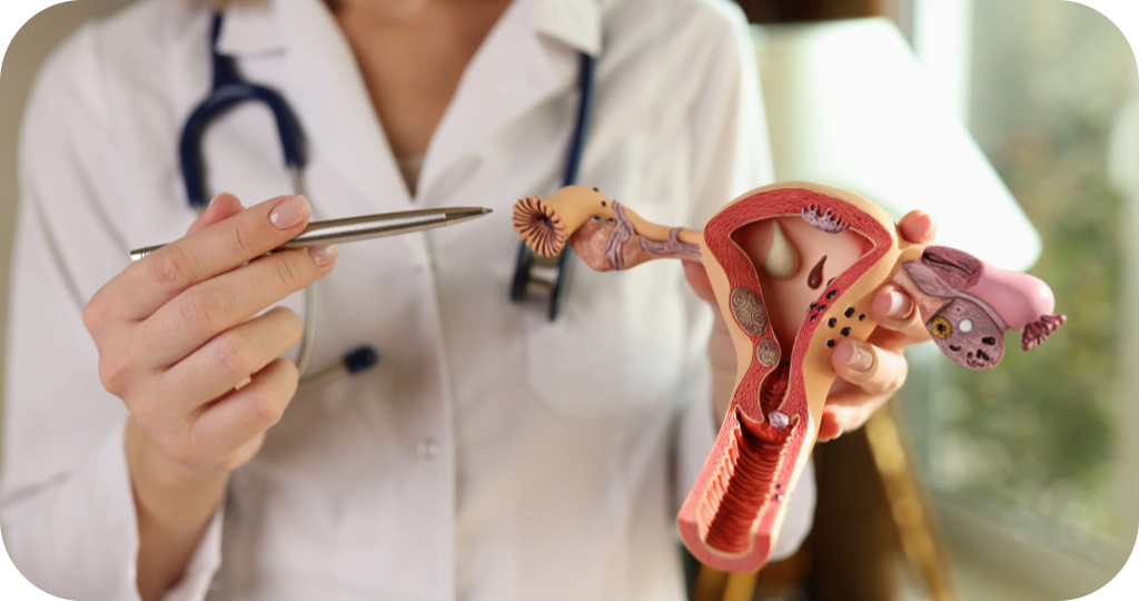 processo-de-ovodoacao