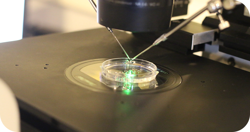 Laboratório de embriologia de alta tecnologia