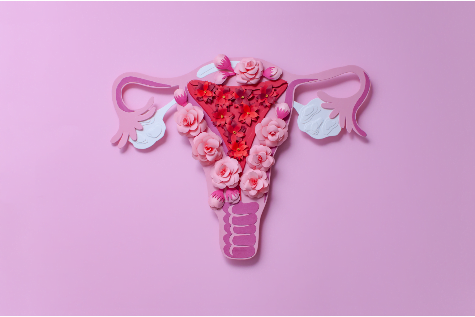 Perimenopausa