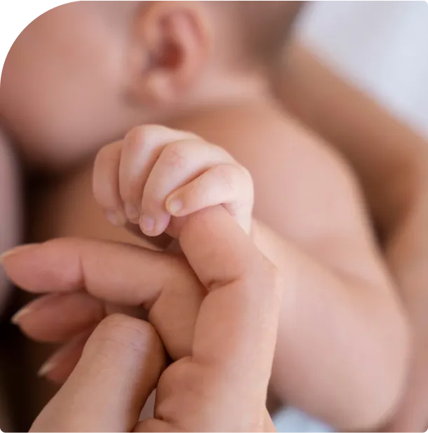 Nilo Frantz Medicina reprodutiva