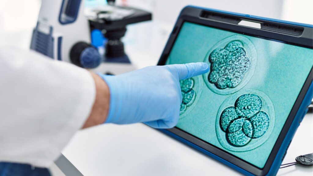 Embriologista analisando imagens de embriões em estágio de desenvolvimento no laboratório da Nilo Frantz, destacando a importância da qualidade dos embriões no sucesso da fertilização in vitro.