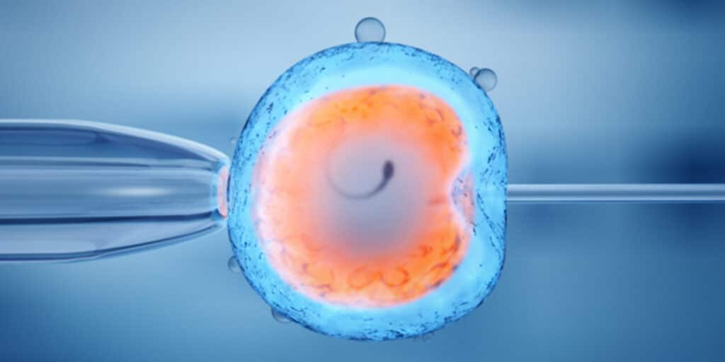 blog-como-saber-se-a-inseminacao-e-para-voce