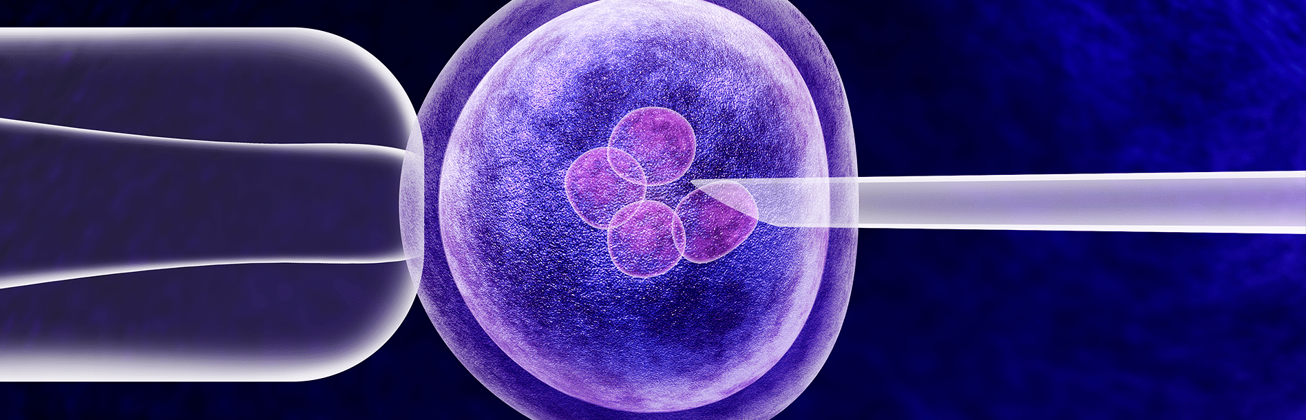 Hormônio Antimulleriano: qual a relação com a menopausa