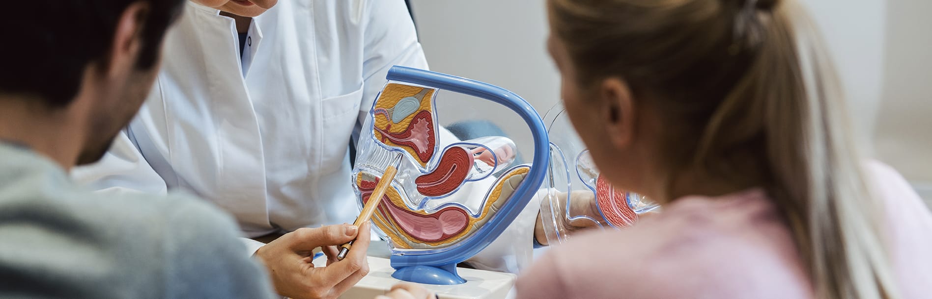 Entenda como funciona o diagnóstico de infertilidade na Nilo Frantz