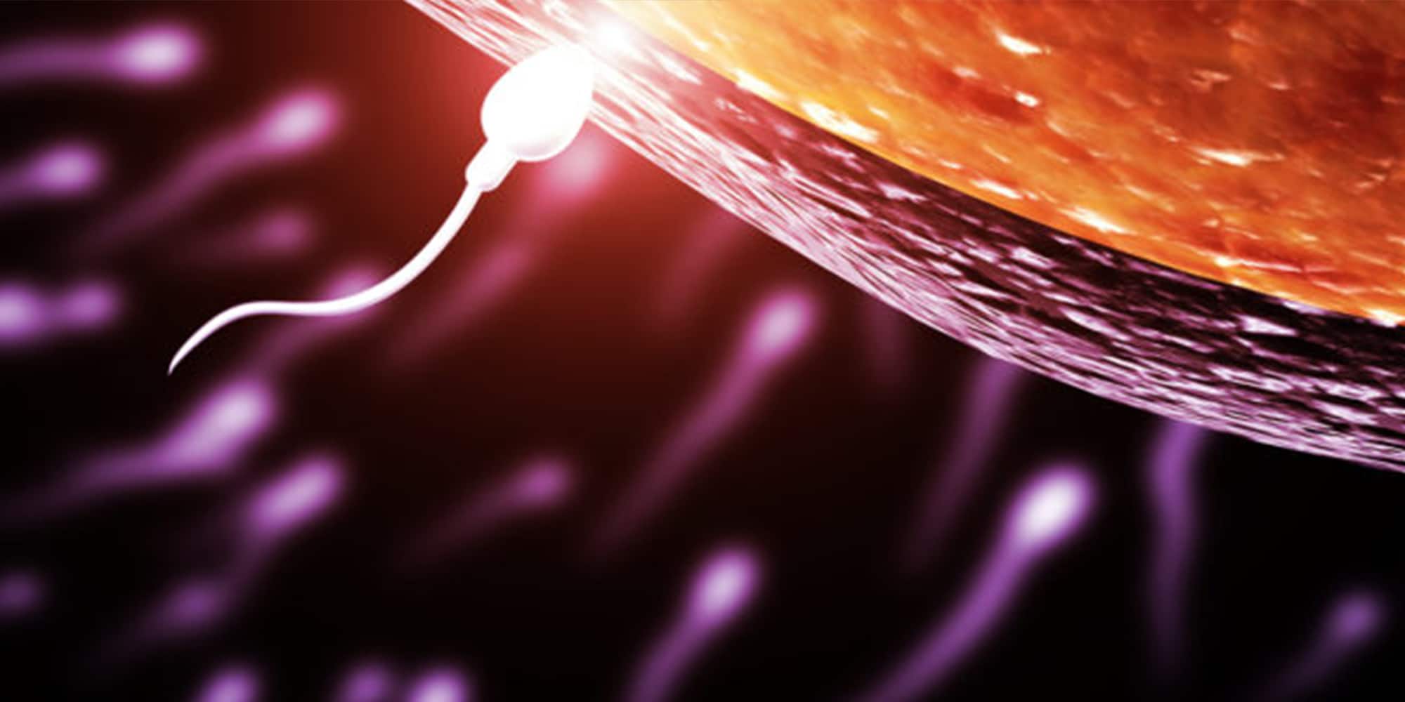 Quando o congelamento do embrião é indicado?