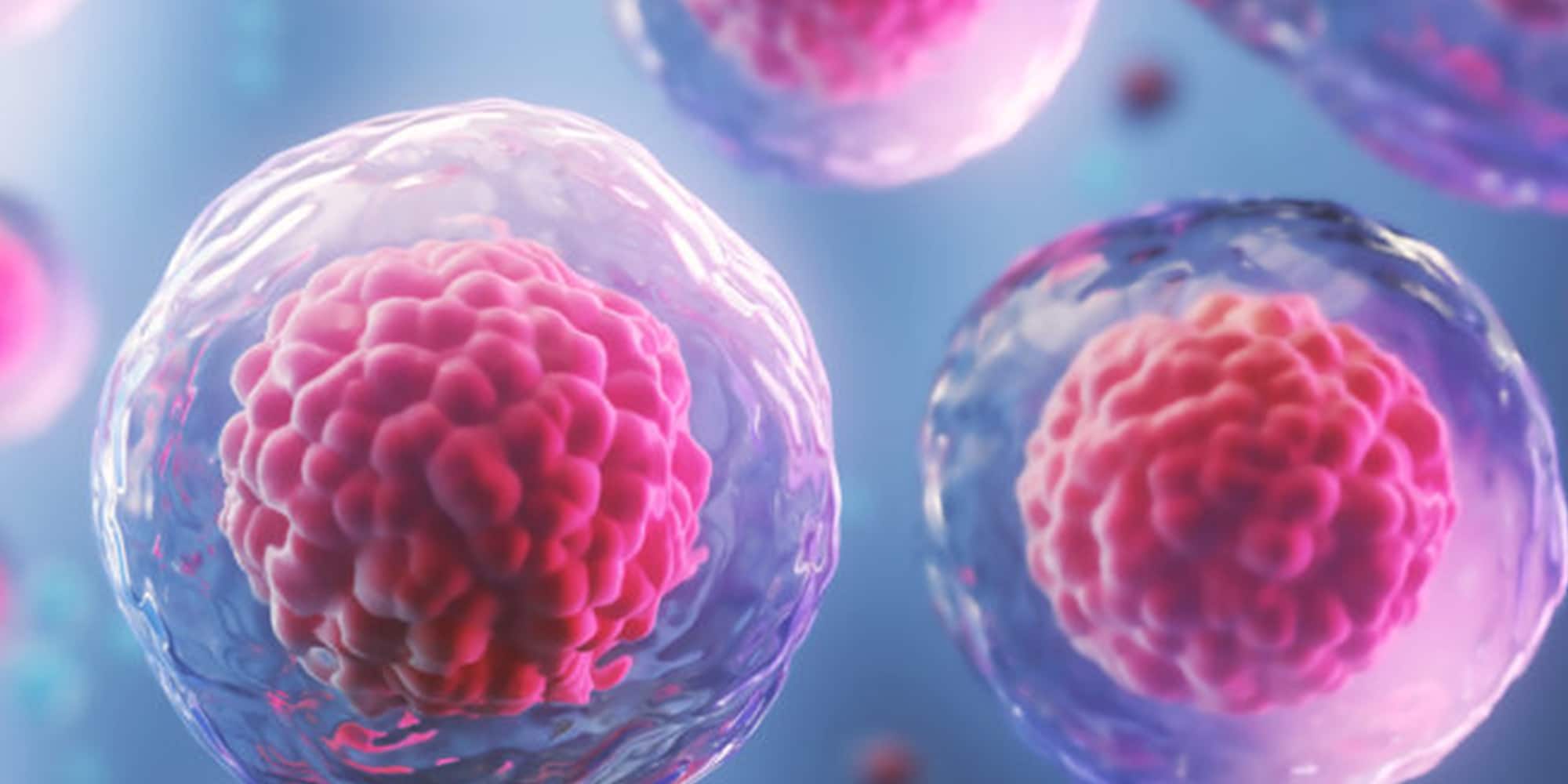 Fertilização in vitro: como o método aumentou as taxas de sucesso na Reprodução Assistida