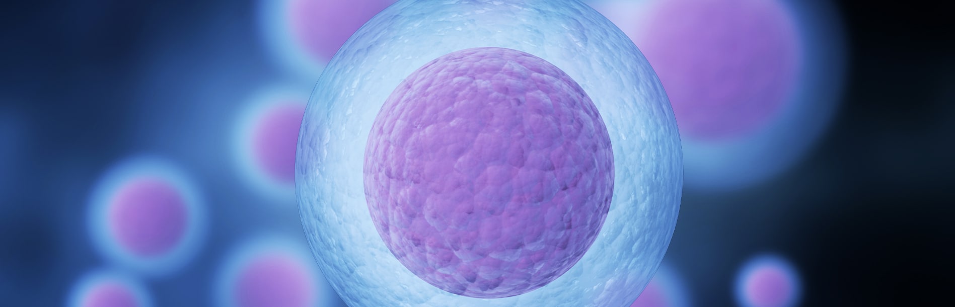 5 mitos sobre a doação de óvulos