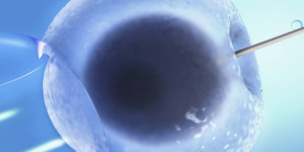 blog-5-mitos-sobre-fiv