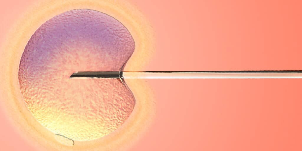 banner exames para fiv