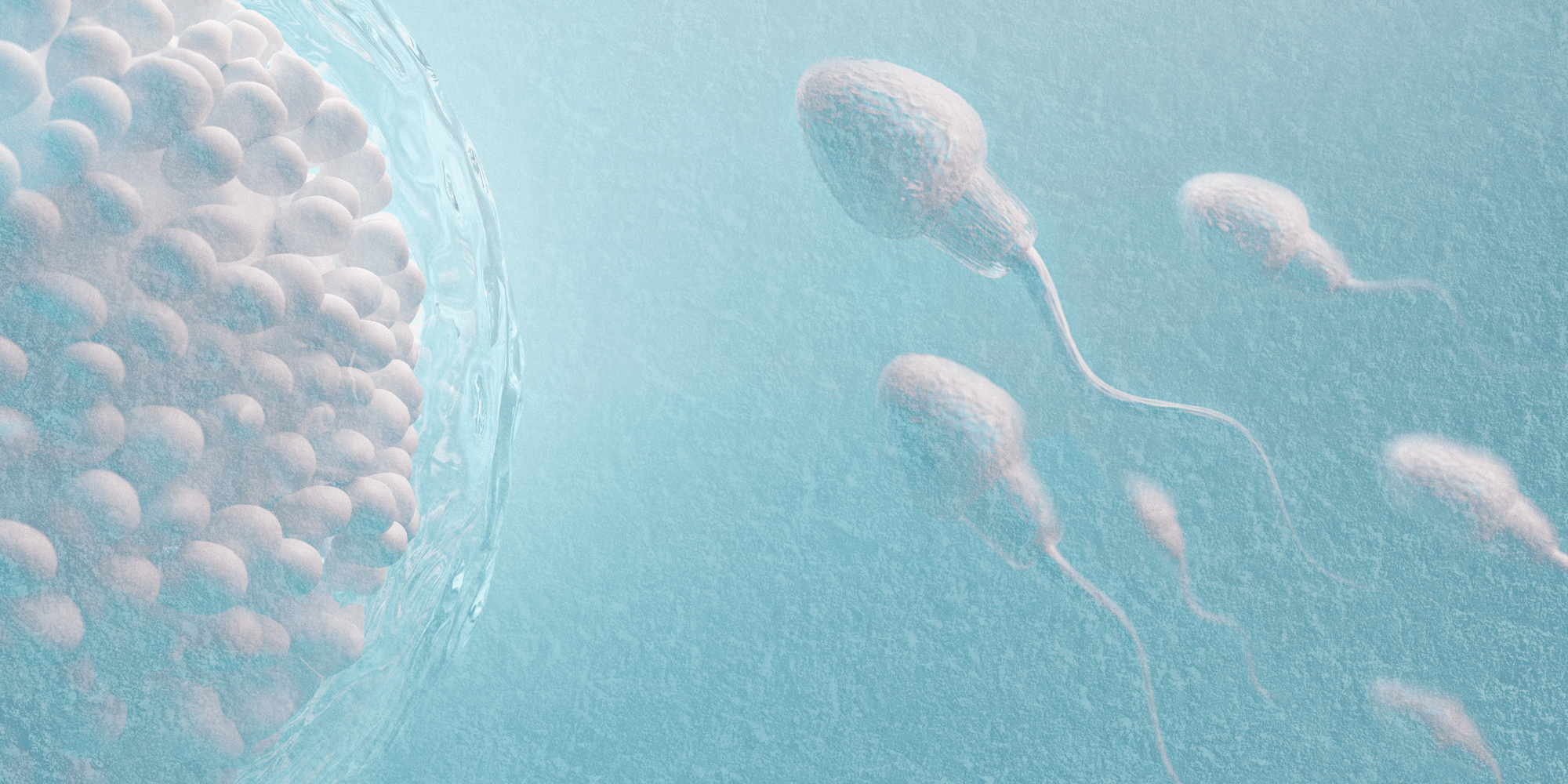 Como os tratamentos de preservação da fertilidade funcionam?