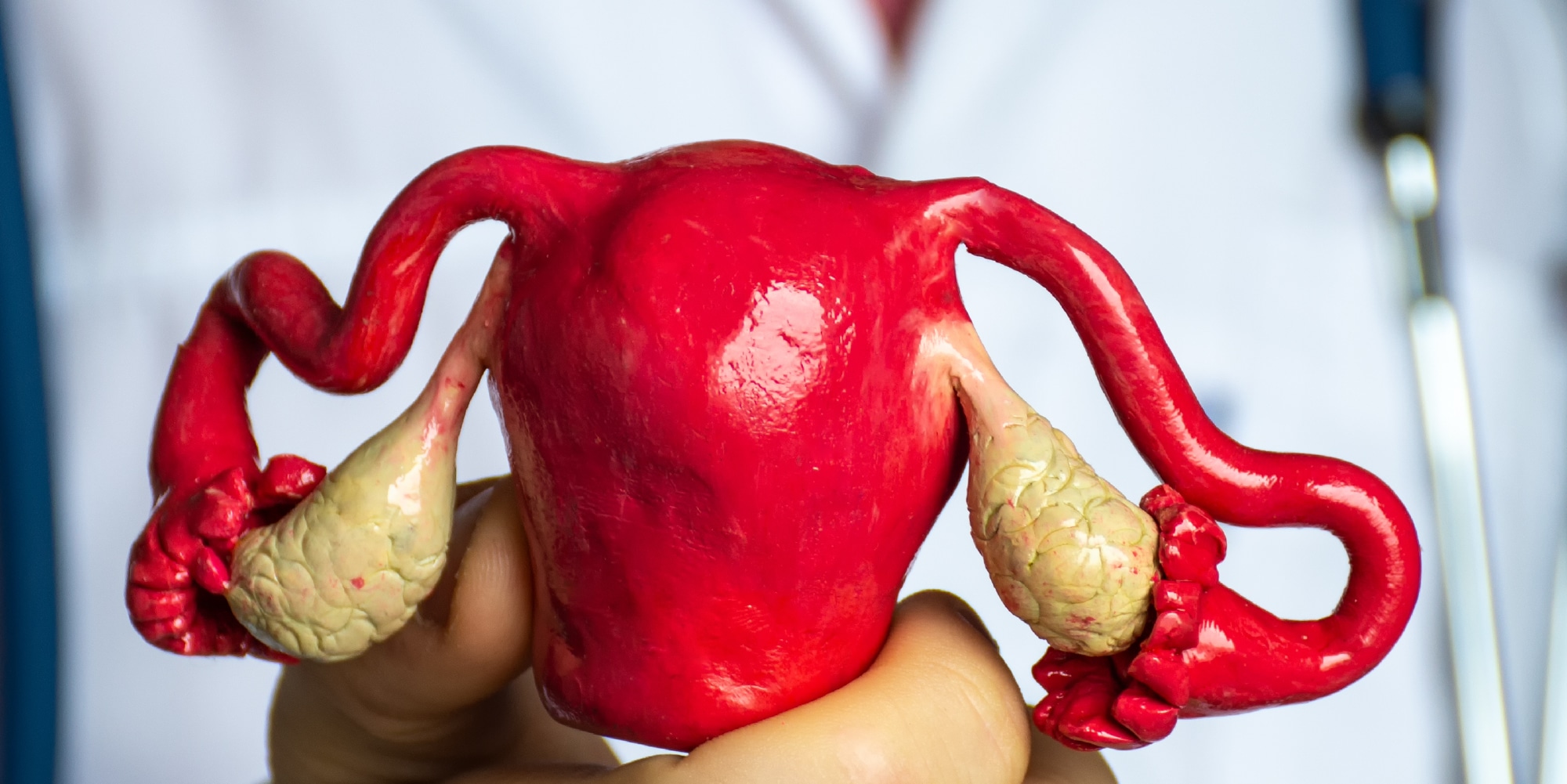 Malformações uterinas: como ocorrem?