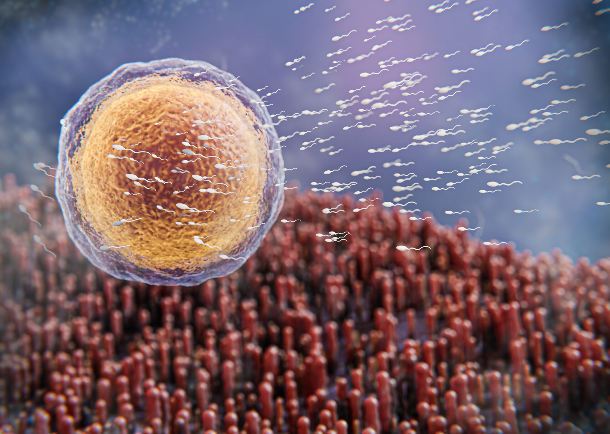 Fertilização artificial existe? Descubra os métodos de reprodução assistida