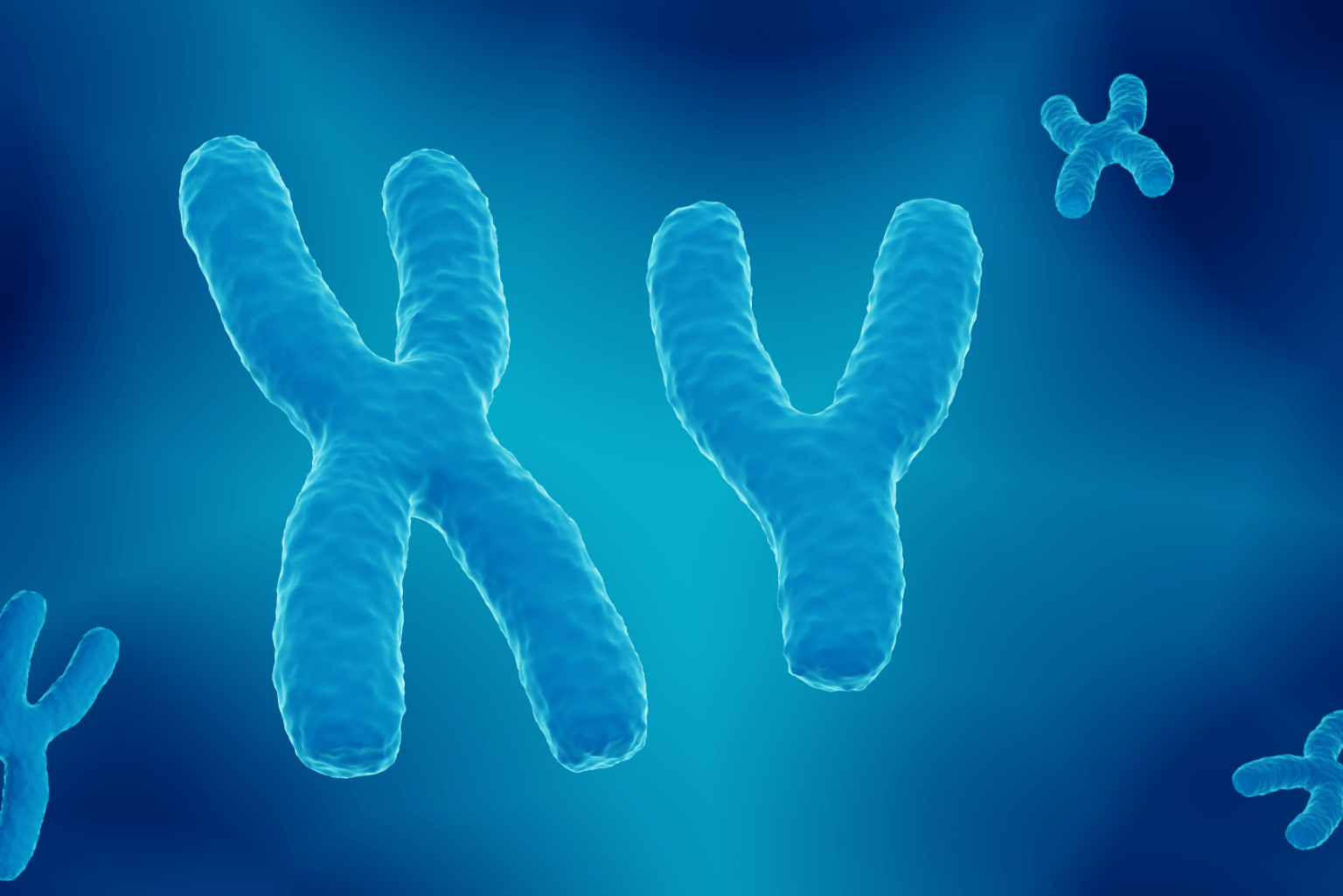 Cromossomos: fundamentos e impacto na fertilidade