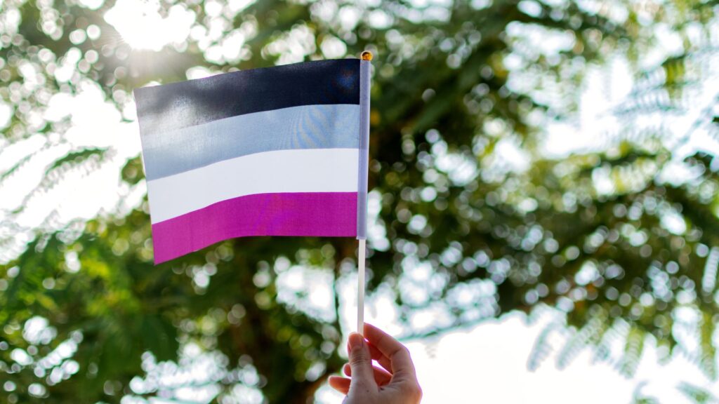 Pessoa segurando bandeira assexual com fundo de árvores desfocado e luz solar suave.